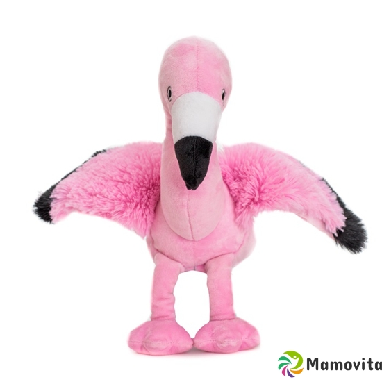 Habibi Plush Flamingo Pink buy online