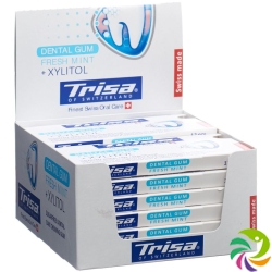 Trisa Display Dentalkaugummi Fresh Mint 12 Stück