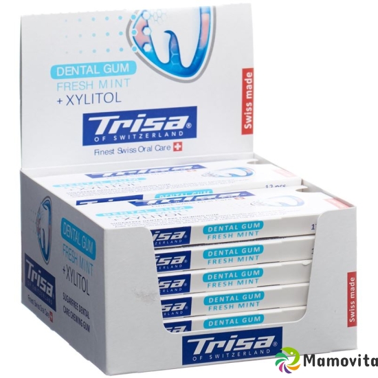 Trisa Display Dentalkaugummi Fresh Mint 12 Stück buy online