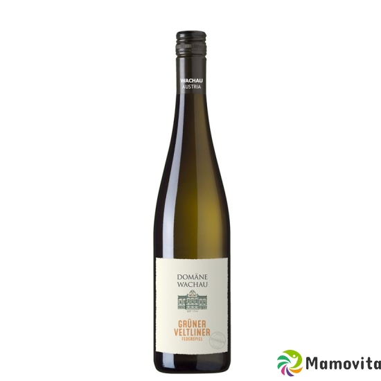 Grüner Veltliner Federspiel Terrassen 17 6x 75 C buy online