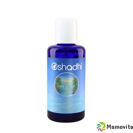 Oshadhi Blütenwasser Heiligenblume Flasche 200ml buy online