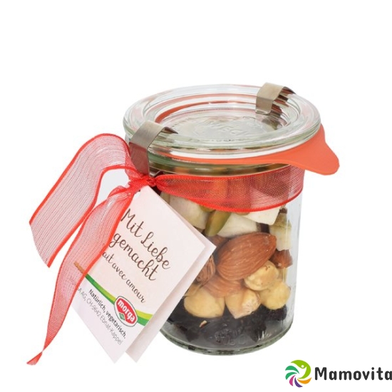 Morga Frucht-Nuss Mix 75g buy online