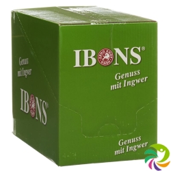 Piniol Disp Ingwer Bonbons Zitro Zuckerfrei 10x 75g