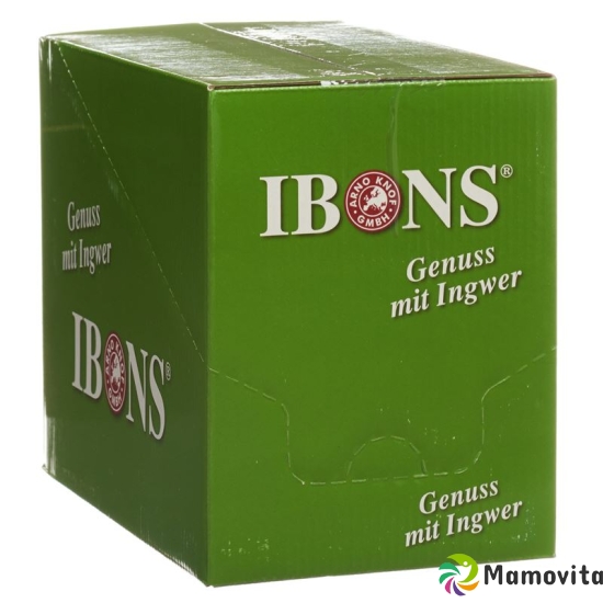 Piniol Disp Ingwer Bonbons Zitro Zuckerfrei 10x 75g buy online