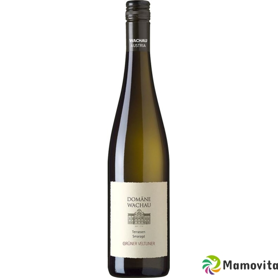 Grüner Veltliner Smaragd Terrassen 2017 6x 75cl buy online