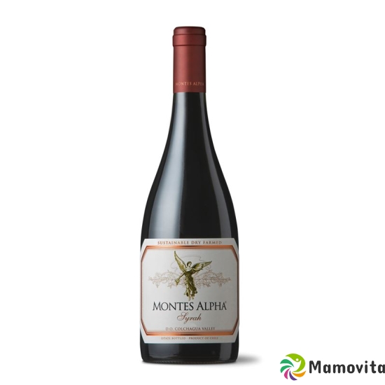 Alpha Syrah Doc Montes 2015 6x 75cl buy online