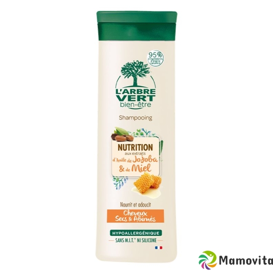 L'Arbre Vert Öko Shampoo Trockenes Haar Flasche 250ml buy online