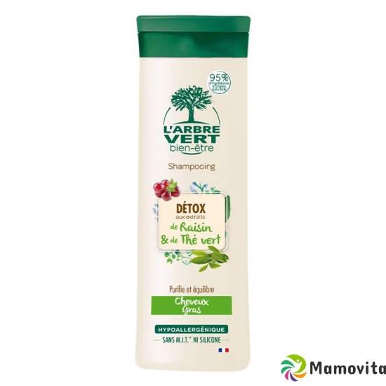 L'Arbre Vert Öko Shampoo Fettiges Haar Flasche 300ml buy online