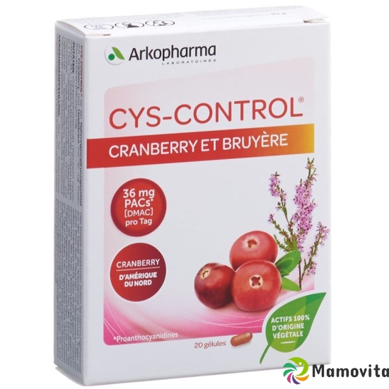 Cys-control Cranberry und Heidekraut Kapseln 20 Stück buy online