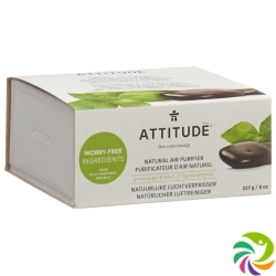 Attitude Lufterfrischer Green Apple&basil 227g