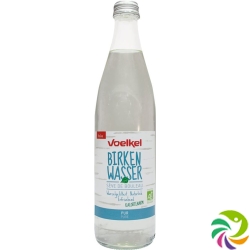 Voelkel Birkenwasser Pur Flasche 500ml