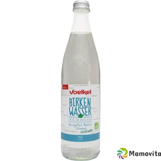 Voelkel Birkenwasser Pur Flasche 500ml buy online