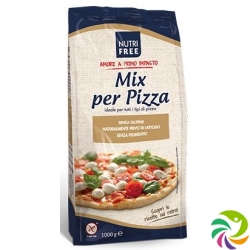 Nutrifree Mehlmischung Mix für Pizza Glutenf 1kg