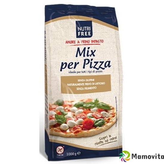 Nutrifree Mehlmischung Mix für Pizza Glutenf 1kg buy online