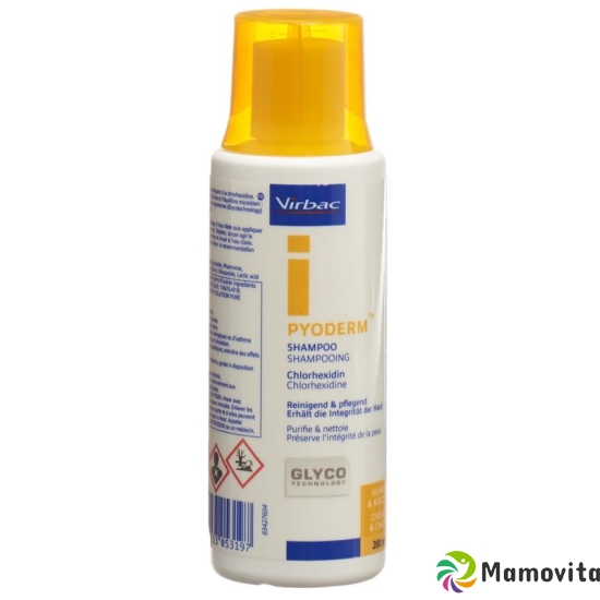 Pyoderm Shampoo 200ml buy online