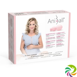 Aniball silicone balloon replacement