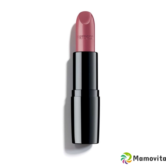 Artdeco Perfect Color Lipstick 13 885 buy online