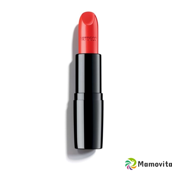 Artdeco Perfect Color Lipstick 13 801 buy online