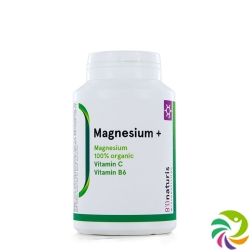 Bionaturis Magnesium 604mg Kapseln +vit C+b6 120 Stück