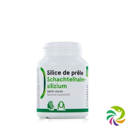 Bionaturis Schachtelhalmsilizi Kapseln 220mg 180 Stück