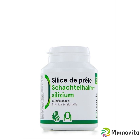 Bionaturis Schachtelhalmsilizi Kapseln 220mg 180 Stück buy online