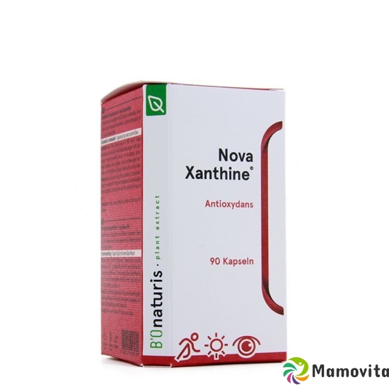 Bionaturis Novaxanthine Astaxanthin Kapseln 4mg Dose 90 Stück buy online