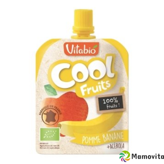 Vitabio Cool Fruits Apfel Banane Bio 12 Beutel 90g buy online