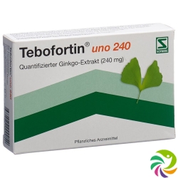 Tebofortin Uno 240 Filmtabletten 240mg 60 Stück