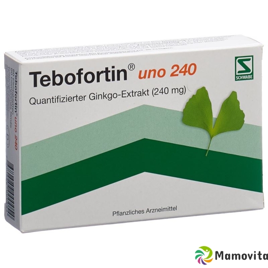 Tebofortin Uno 240 Filmtabletten 240mg 60 Stück buy online