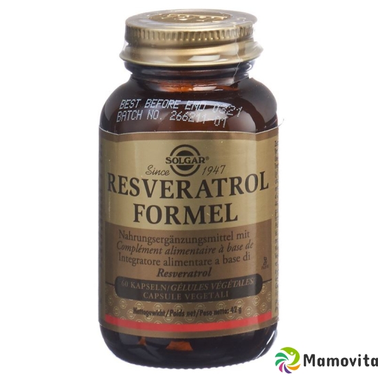 Solgar Resveratrol Formel Kapseln Flasche 60 Stück buy online