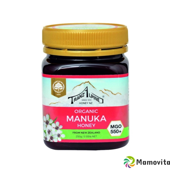 Hoyer Manukahonig Mgo 550+ Bio Glas 250g buy online