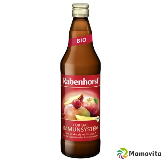 Rabenhorst für Das Immunsystem Bio Flasche 7.5dl buy online