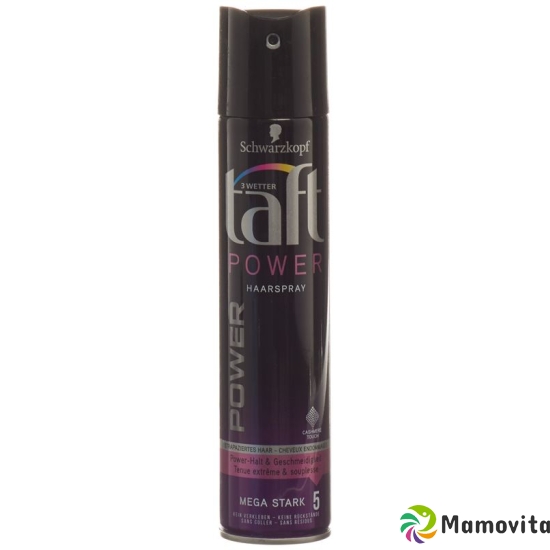 Taft Hairspray Power Cashmere Touch 250ml buy online