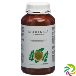 Yelasai Moringa Pulver Dose 300g