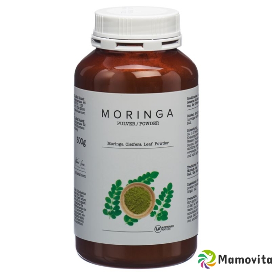 Yelasai Moringa Pulver Dose 300g buy online