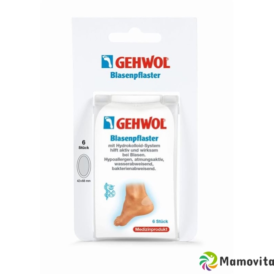 Gehwol Blasenpflaster Hydrokolloid-System 6 Stück buy online