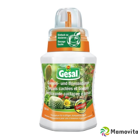 Gesal Kakteen- und Bonsaidünger Flasche 250ml buy online