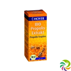 Hoyer Propolis Extrakt Bio Flasche 30ml