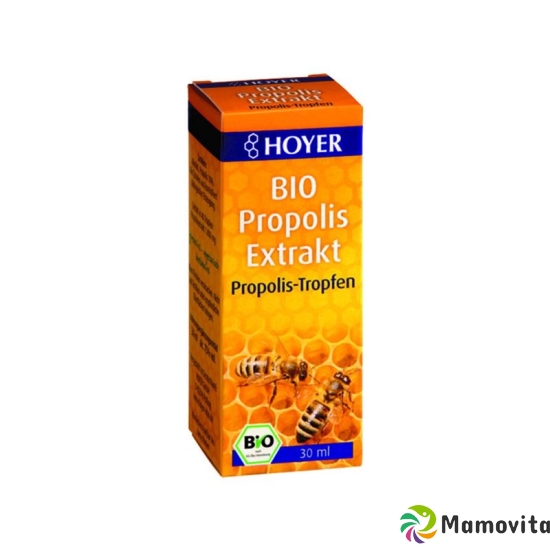 Hoyer Propolis Extrakt Bio Flasche 30ml buy online