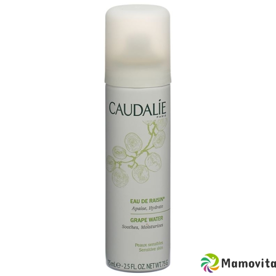 Caudalie Demaquillant Eau De Raisin 75ml buy online