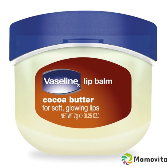 Vaseline Lip Care Mini Jar Cocoa Butter 7g buy online