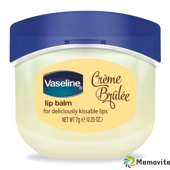 Vaseline Lip Care Mini Jar Creme Brulee 7g buy online