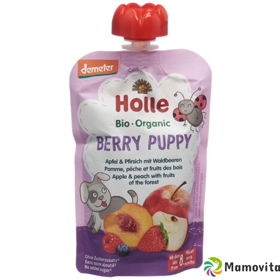 Holle Berry Puppy - Pouchy apple & peach with forest berries 100g buy online