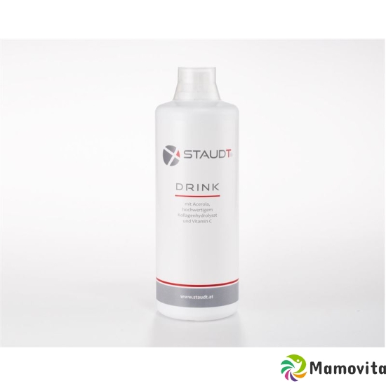 Staudt Drink Flasche 1000ml buy online