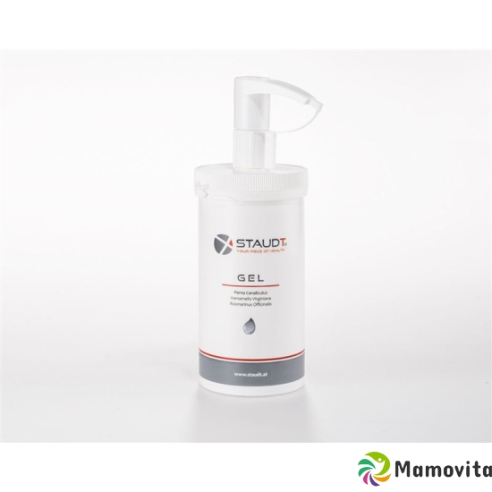 Staudt Gel Dispenser 500ml buy online