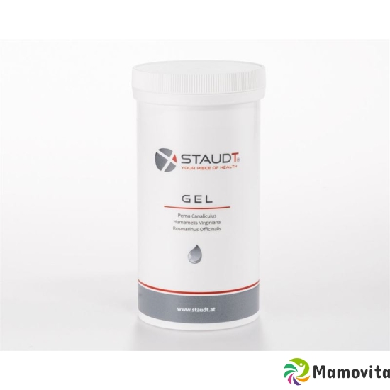 Staudt Gel Dose 500ml buy online