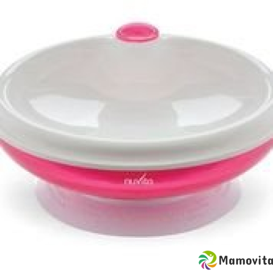 Nuvita warming plate with suction cup pink buy online