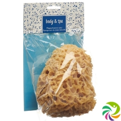 Herba natural sponge big