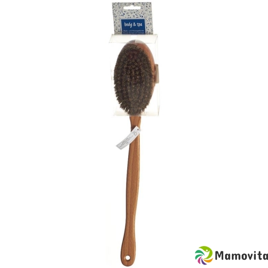 Herba Bade- Massagebürste Rosshaar/pflanzenfas Fs buy online