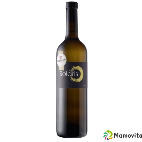 Solaris Weingut Lenz Biowein 2018 6x 75cl buy online